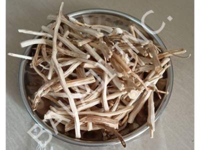 shatavari-root-satavari-shatavar-sitawar-satawar-root-Asparagus-racemosus-wholesale-suppliers